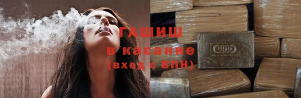 сатива Губаха