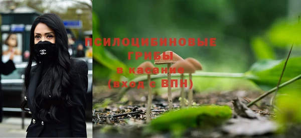 mdma Пересвет