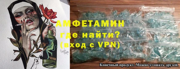 сатива Губаха