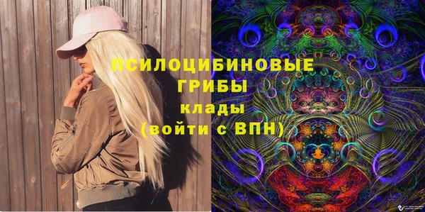 винт Переславль-Залесский