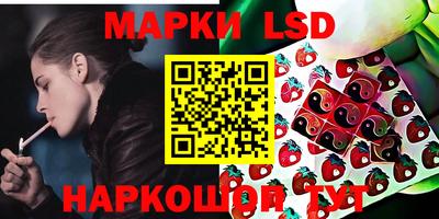 стаф Донской