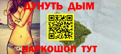 стаф Донской