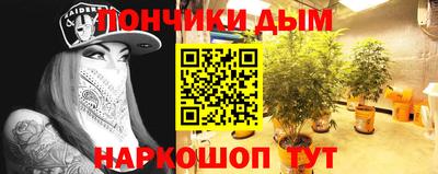 стаф Донской