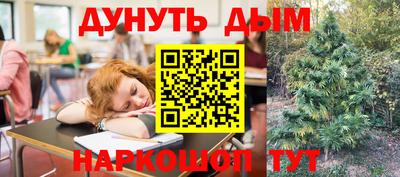 стаф Донской