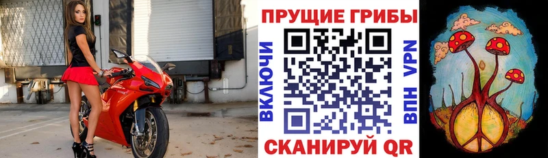 Псилоцибиновые грибы Magic Shrooms  дарнет шоп  Рассказово 