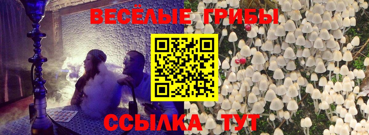 Галлюциногенные грибы GOLDEN TEACHER  Вход с VPN  Рассказово 