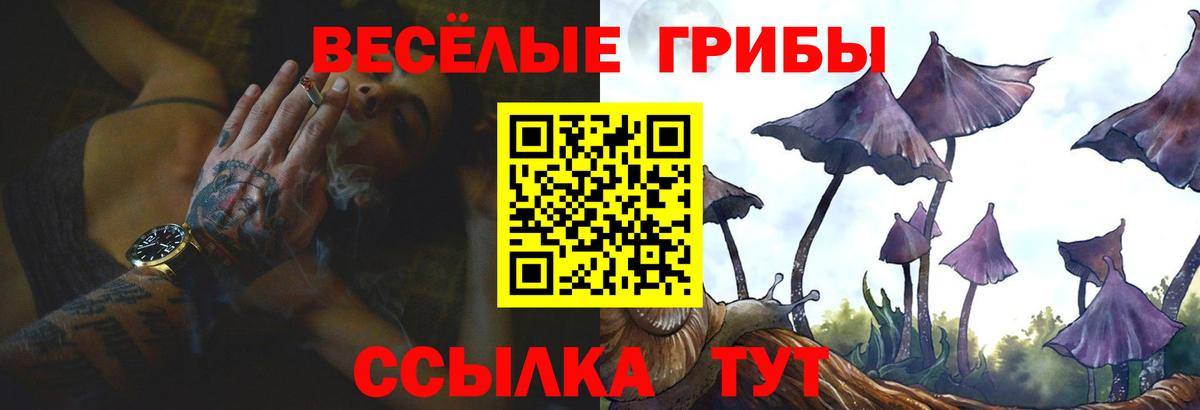 Псилоцибиновые грибы Cubensis Рассказово